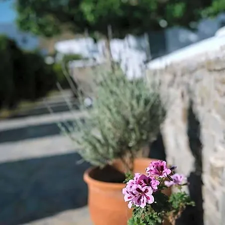 Indigo Serifos Town